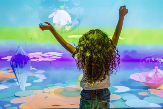 Grand Palais Immersif : Transparence