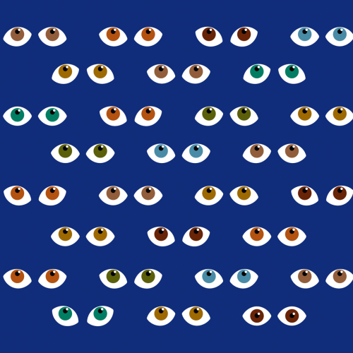 Mon premier festival 2013