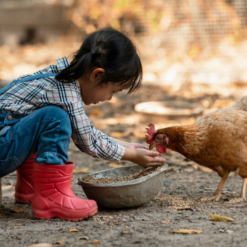 Top des fermes pédagogiques de Paris avec les enfants
