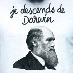 Expo Darwin, l'original