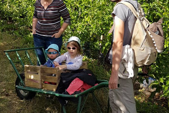 Jardins fruitiers en famille près de Nantes