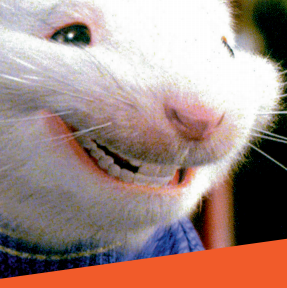 CinéKids - Cycle "Petites souris gros matous"