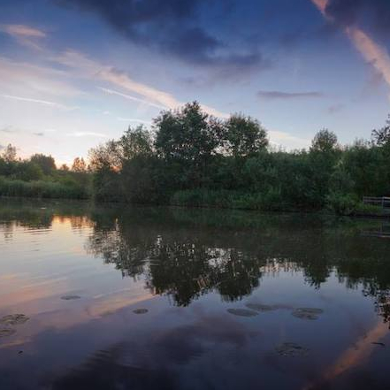 Ville de Saint-Omer : balade près de Lille