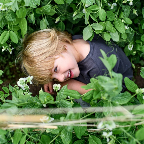 Rendez-vous aux jardins 2024 à Clermont-Ferrand