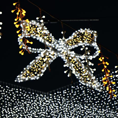 Riom Pays en Fête 2017