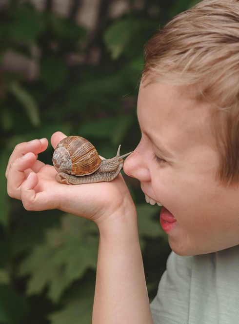 Ferme hélicicole de Comines : Un escagot touche le bout du nez d'un petit garçon