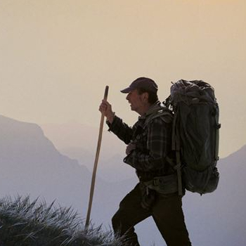 Marche avec les loups - Affiche