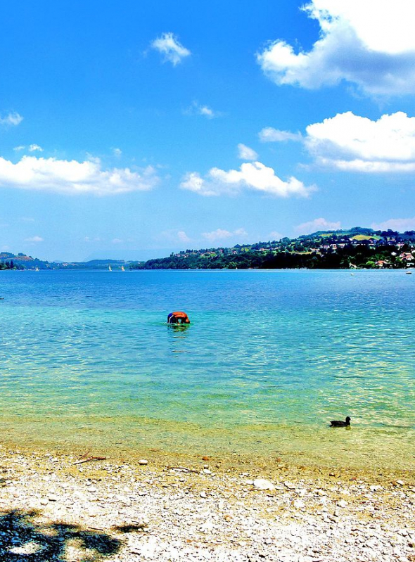 Lac de Paladru lieu de baignade en famille près de Lyon Citizenkid
