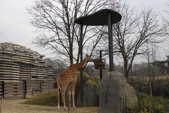 Parc zoologique de Paris @CitizenKid