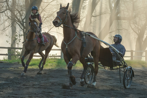 Tempête : jockey et son cheval