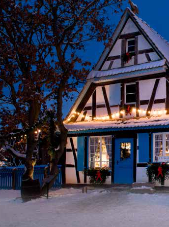 Noël à l'Ecomusée : jardins d'hiver et expos