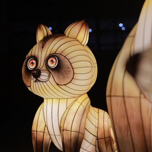 Festival des Lanternes 2025 - Le Japon en lumières