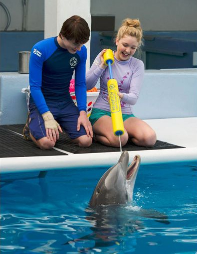 L'incroyable histoire de Winter le dauphin 2