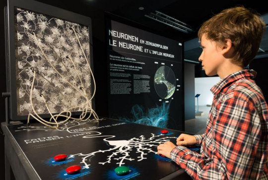 Cervorama : enfant à Cap Sciences