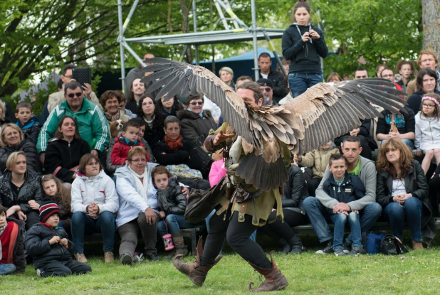 Les rapaces de Montferrand