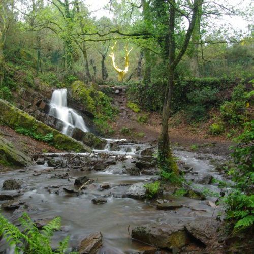 Forêt de Brocéliande - Val sans retour