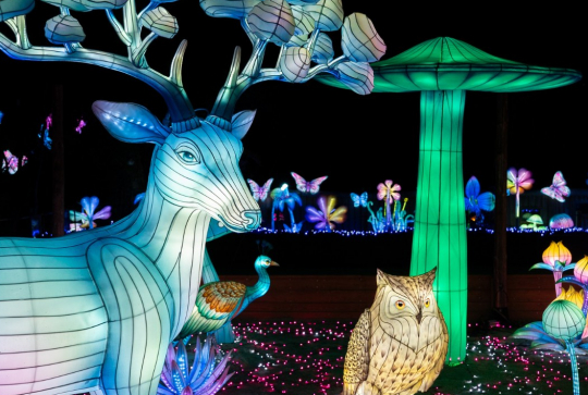 Festival Luminescences : cerf et hibou