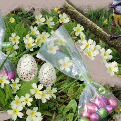 Chasse aux œufs au Parc botanique de haute bretagne