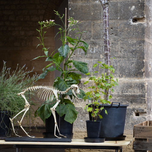 invitation-ruth ewan