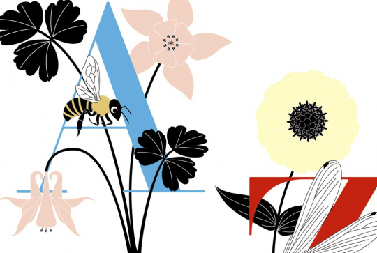 Alphabet des plantes et des animaux