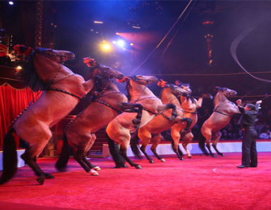 Le Cirque d'Hiver Bouglione