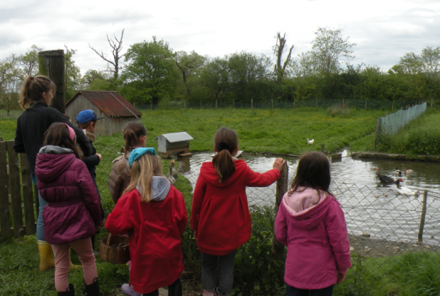 La Ferme de Paillac : visite en famille