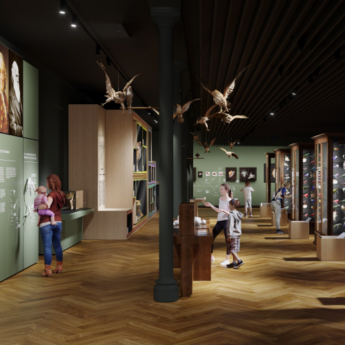 Musée Zoologique Strasbourg