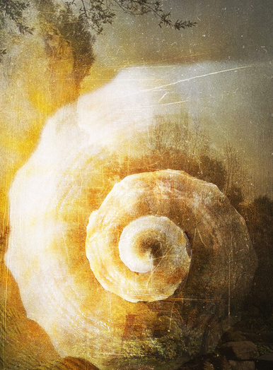 Le Temps qui pousse - balade sonore