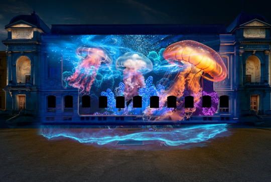 En Voie d'Illumination 2025