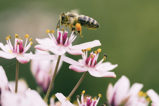Où construire son hôtel ?