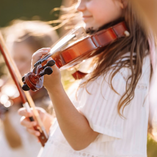 Grand Concert de l'ONL au parc de la Tête d'Or - Adobe Stock