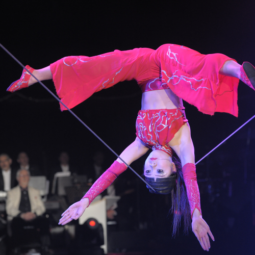 Medrano - numero d'équilibre