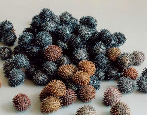 Philippe Drogeu, Fléaux