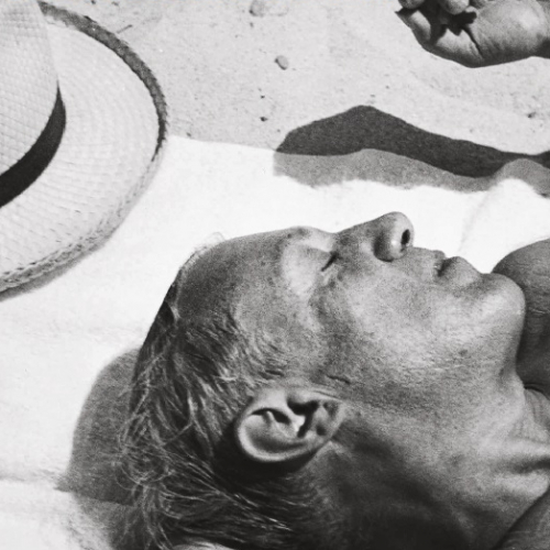 Expo Picasso Obstinément Méditerranéen