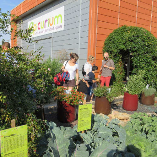 Fête de l'automne Epicurium