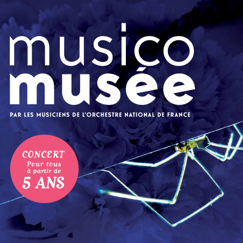 araignée contrebasse musicomusée