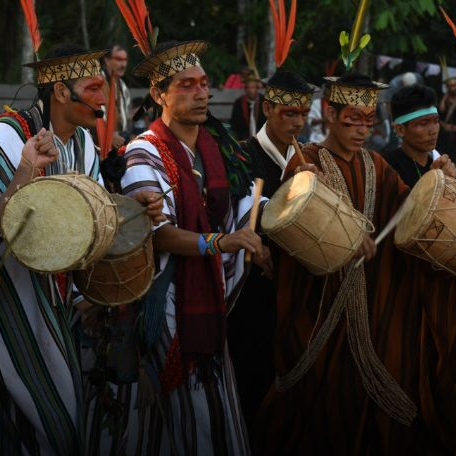Expo Amazonies - Musée des Confluences