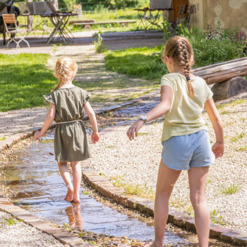 Journées de la biodiversité Écomusée d'Alsace