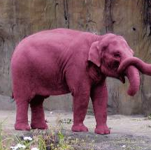 Famille d'éléphants roses
