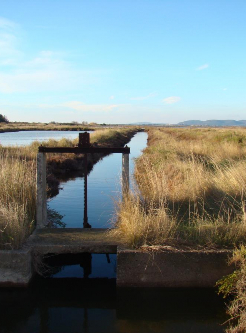 Les mercredis de l'été