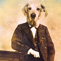 Bestiaire et autres vers... - Fil Alex