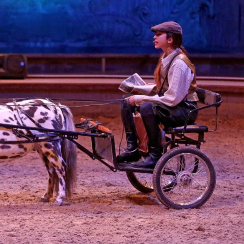 Un jour à Paris : spectacle équestre à Chantilly