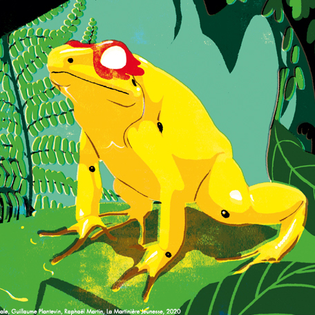 Livre Animaux super-héros