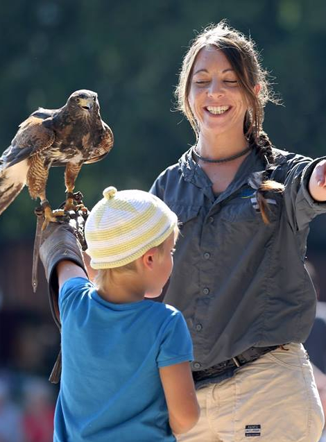 Spectacle la Volerie des Aigles
