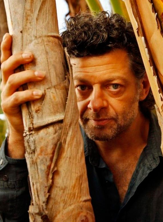Mowgli - Andy Serkis