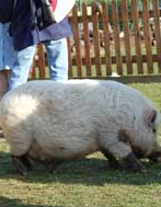 Ferme pédagogique du Bel Air