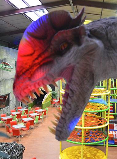 Dino Jo - Parc de jeux indoor