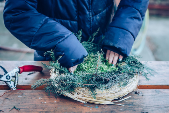 Bricolage : fabriquez une cabane à oiseaux avec les enfants - Nichoir naturel