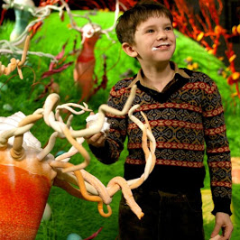 Charlie et la chocolaterie