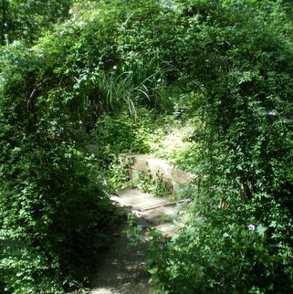 Jardin écologique de Lille